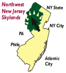 NJ Map