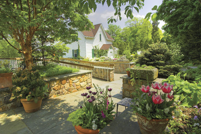 Frelinghysen Arboretum