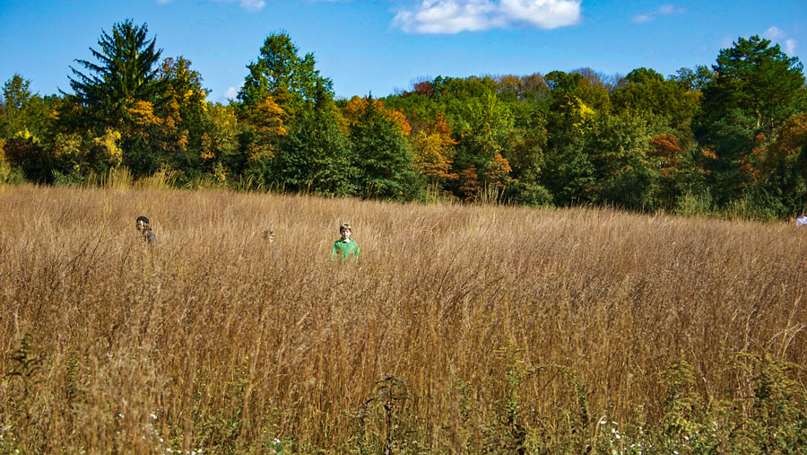 Fishes of the Upper Raritan - Raritan Headwaters