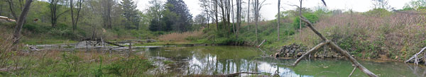 Ford Pond