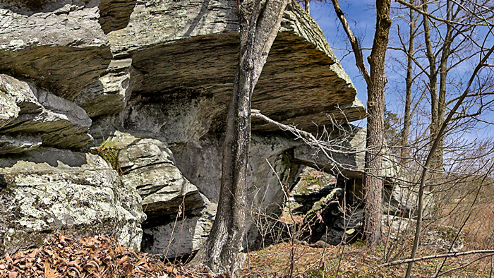 Bevans Rock Shelter