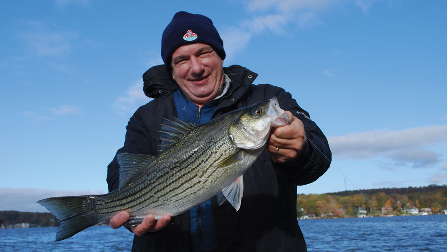 Salmon Eggs Over Power Bait and Worms for  - Litton's Fishing Lines