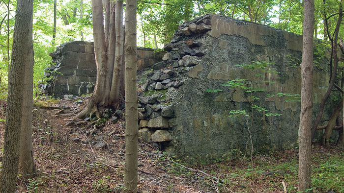 Hibernia Ruins