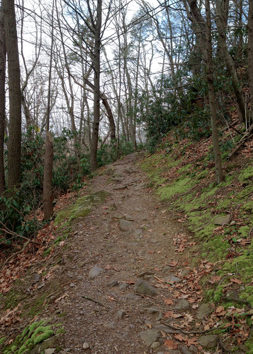 true ridge path