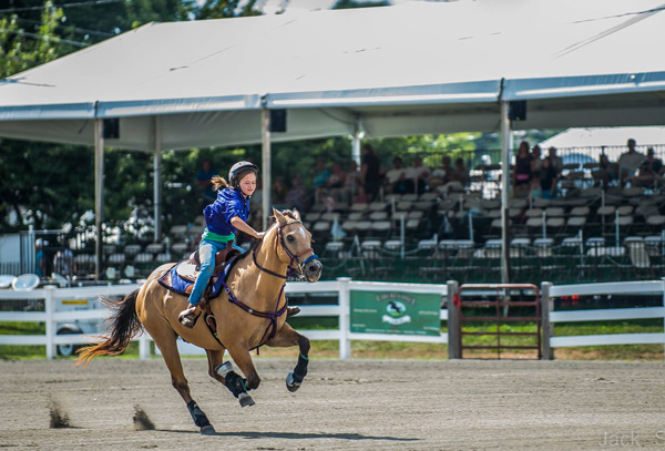 horse shows near me august 2021